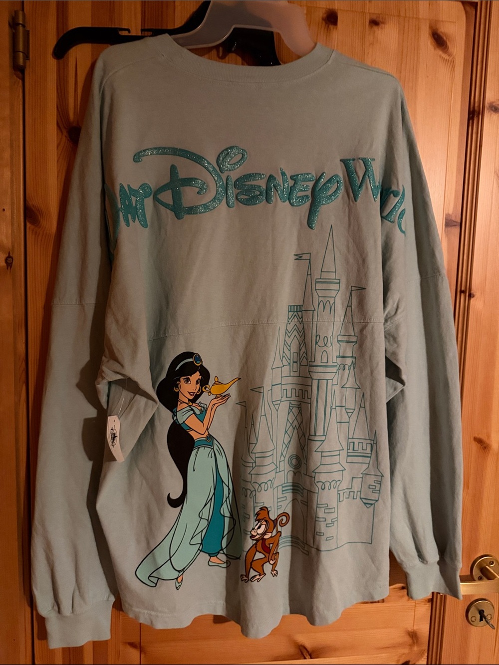 Disney Girls' Jasmine Castle Graphic Sweatshirt - Light Teal